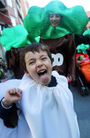 Fotos del Carnaval  de Logroo 2011-8